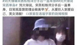 刘大锤爆料谈恋爱视频播放,甜蜜瞬间引网友热议